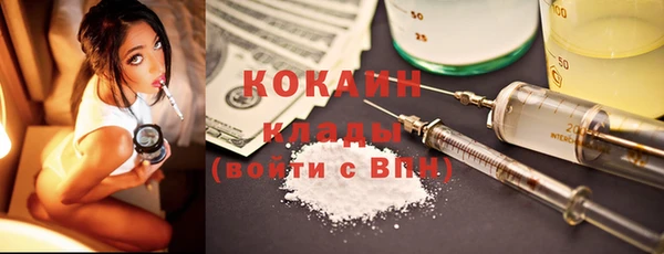 ГАЛЛЮЦИНОГЕННЫЕ ГРИБЫ Арсеньев