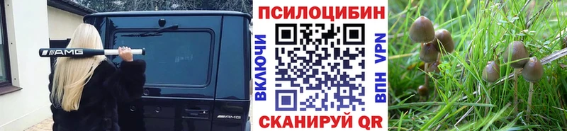 Псилоцибиновые грибы Psilocybe  hydra вход  Кореновск  купить закладку 