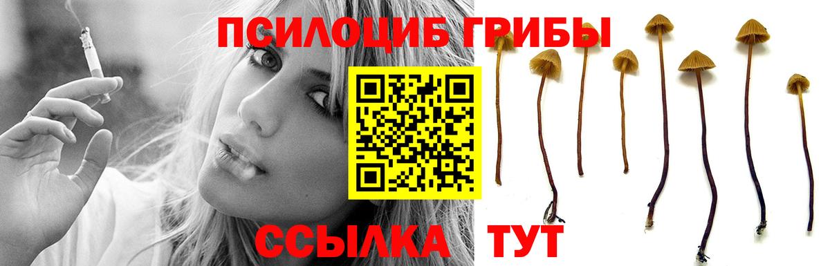 Псилоцибиновые грибы MAGIC MUSHROOMS  Вход с VPN  где купить наркоту  Кореновск  Псилоцибиновые грибы MAGIC MUSHROOMS 